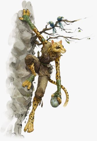 Tabaxi D&D Race