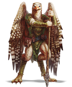 Aarakocra 5e (5th edition) race in dnd races