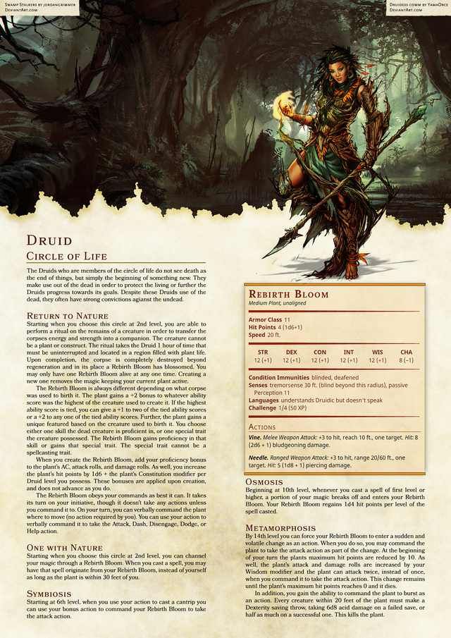 Druid 5e (5th edition) in dungeons and dragons