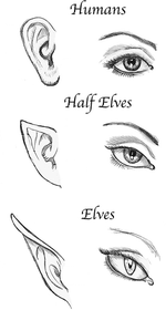 Playing a Half-Elf in 5e: Tips, Tricks, and Build Ideas