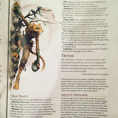 Tabaxi 5e (5th Edition) in D&D